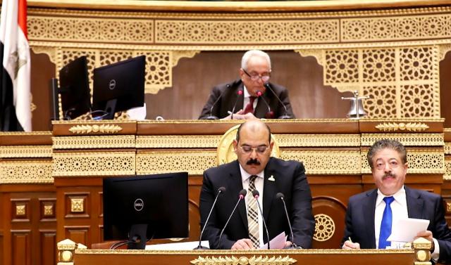 المستشار بهاء أبو شقة