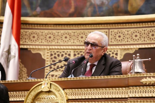المستشار بهاء أبو شقة