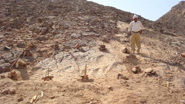آثار أقدام الديناصورات 