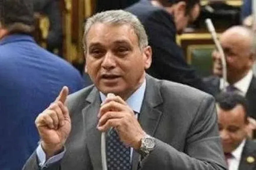 النائب علاء فؤاد