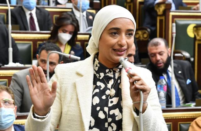 النائبة أميرة أبو شقة