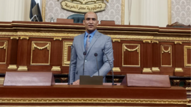 النائب حسام أبو زيد