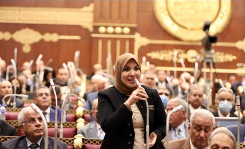النائبة دينا هلالي