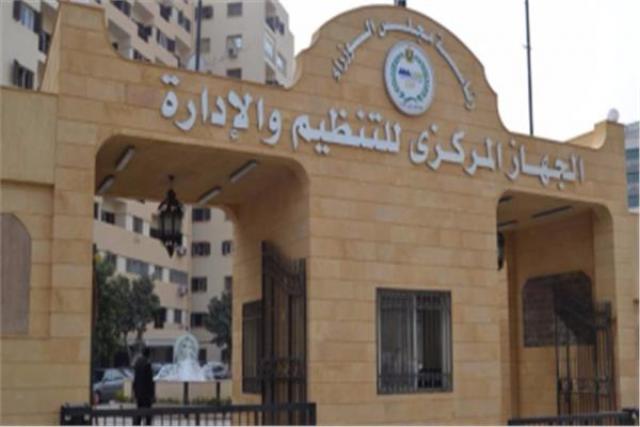 التنظيم والإدارة
