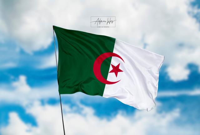 الجزائر