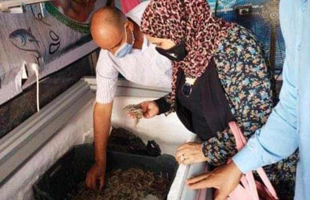 حملة تموينية