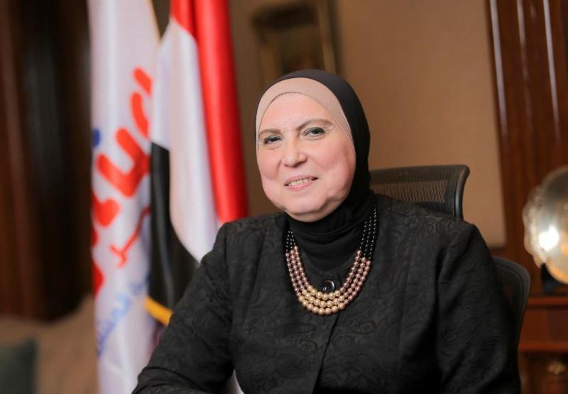 نفين جامع  الرئيس التنفيذي لجهاز تنمية المشروعات