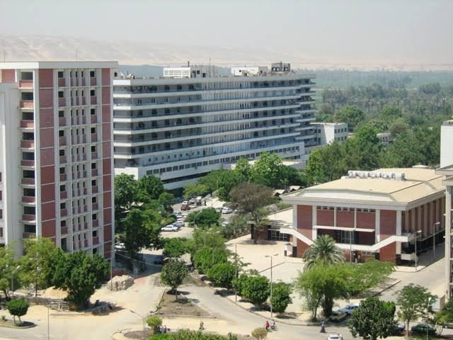 جامعة أسيوط