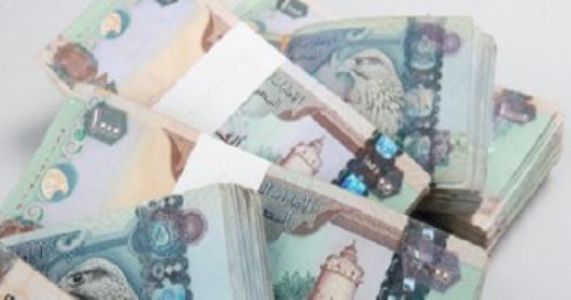 الدرهم الاماراتي 