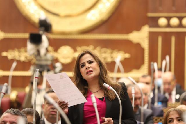 النائبة أمل رمزي، عضو لجنة الدفاع والأمن القومي بمجلس الشيوخ