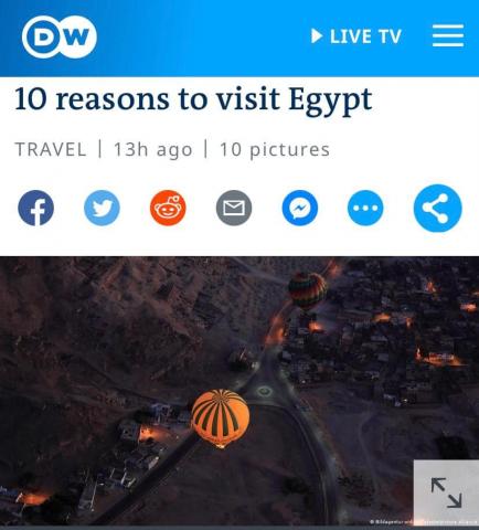 صورة من الموقع