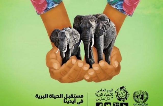 الاحتفال باليوم العالمى للحياة البرية