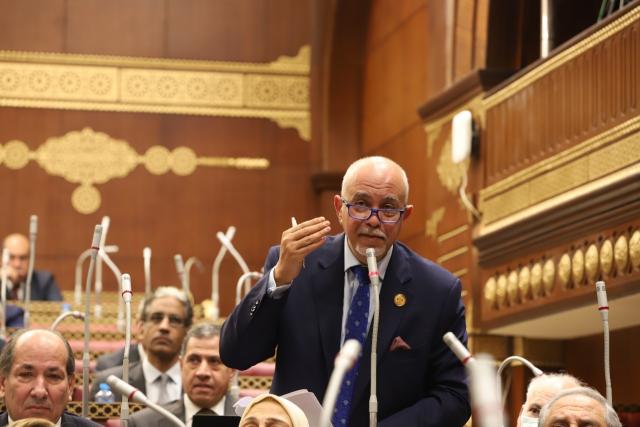 النائب حازم الجندي 