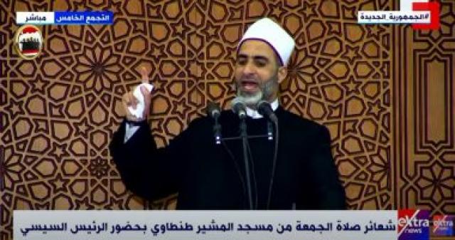   الدكتور السيد عبد البارى 