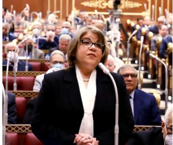 فيبي فوزي وكيل مجلس الشيوخ