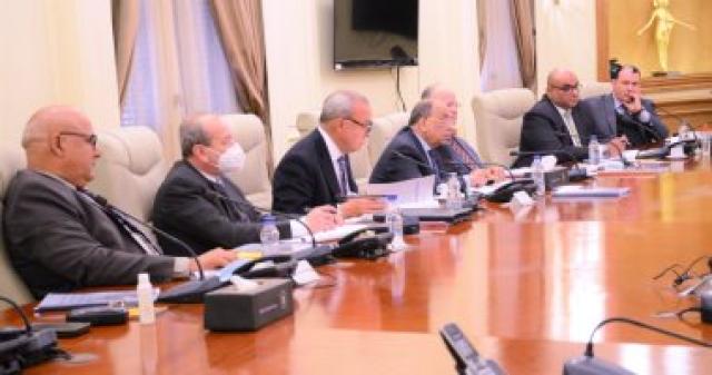 وزير التنمية المحلية يرأس اللجنة العليا للقيادات