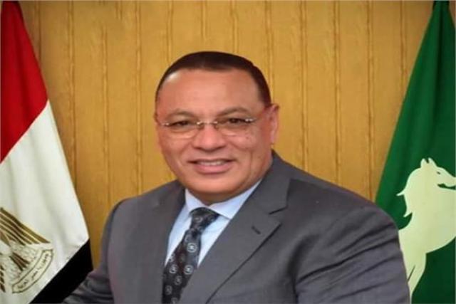 محافظ الشرقية 