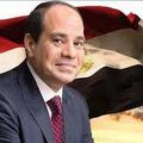 الرئيس السيسى 