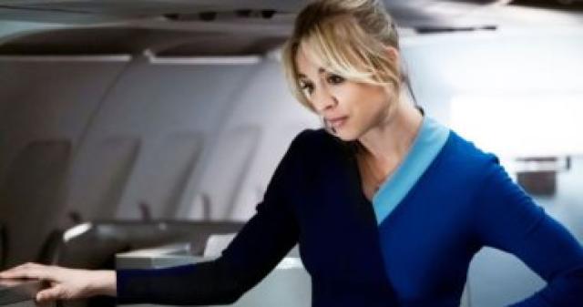   The Flight Attendant