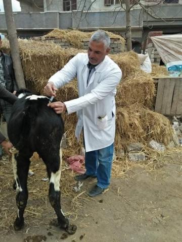 قافلة بيطرية