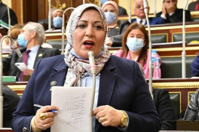  النائبه غادة الضبع 