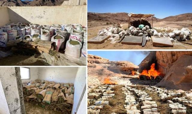 حملة مكبرة للبحث والتفتيش على الزراعات المخدرة بسيناء