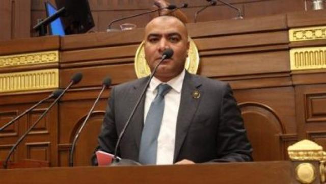 النائب محمد ابوحجازى
