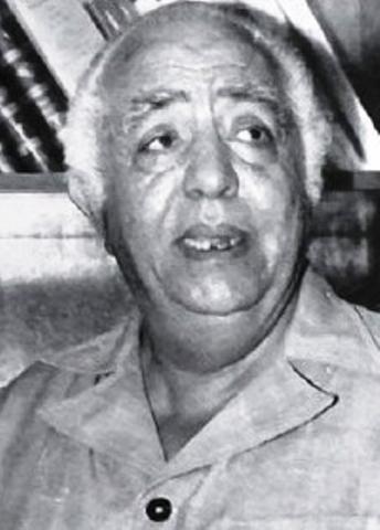 الناقد الرياضى محمد نجيب المستكاوى