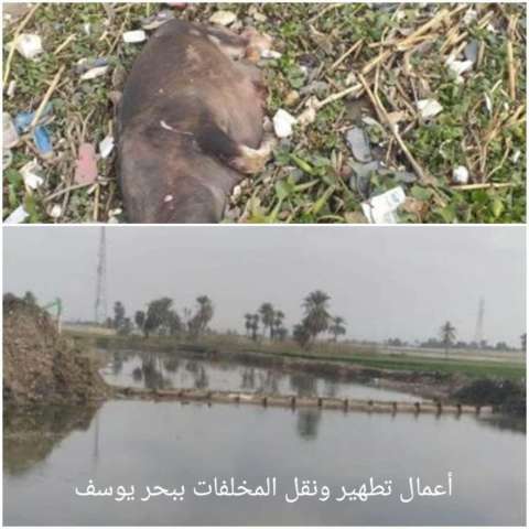 أعمال تطهير ونقل المخلفات ببحر يوسف