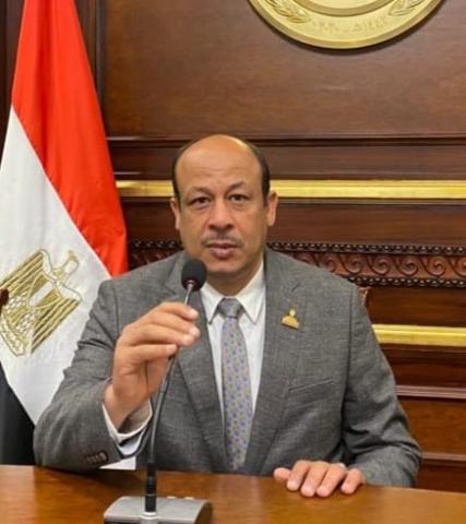 النائب سمير البيومي