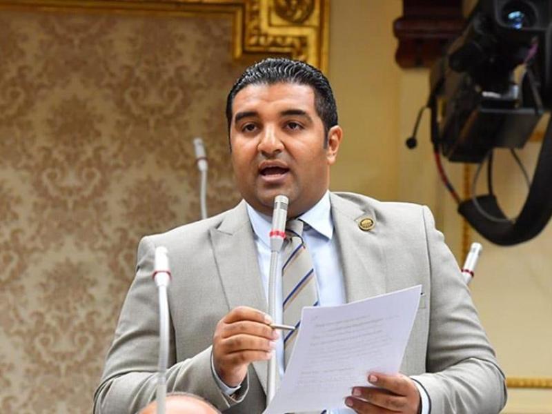النائب عصام محمود