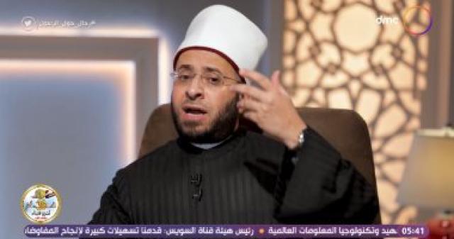   اسامه الازهرى