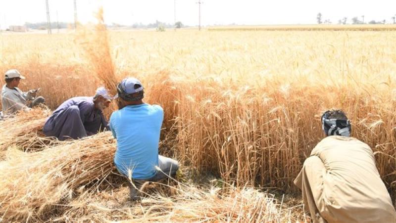 رئيس الإدارة المركزية  للافات