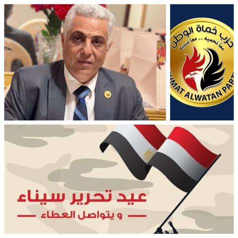 المستشار عمرو محمد احمد
