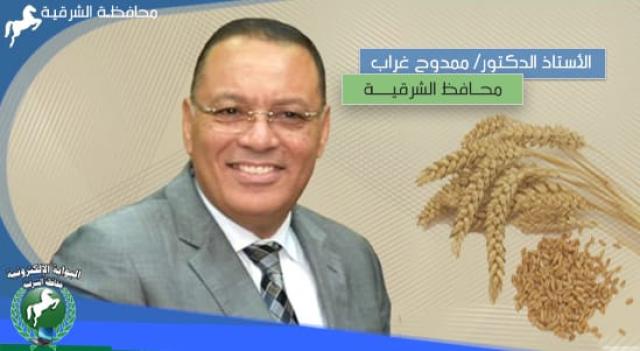 محافظ الشرقية