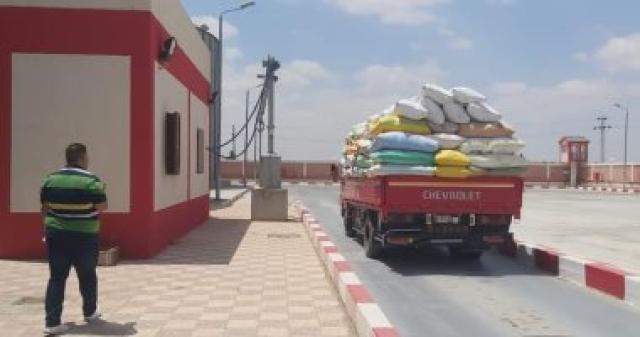 توريد القمح 