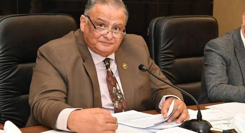 المستشار إبراهيم الهنيدى،