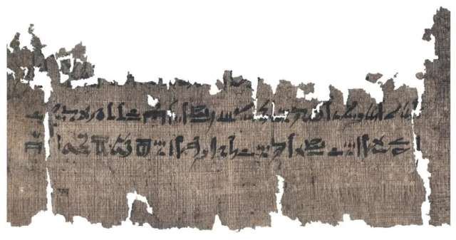 البردية