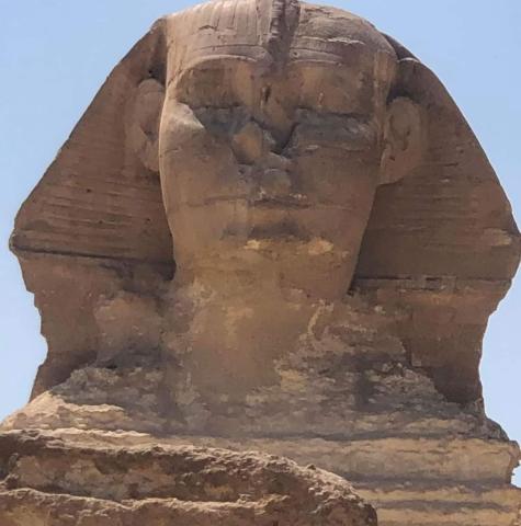 نوم أبو الهول