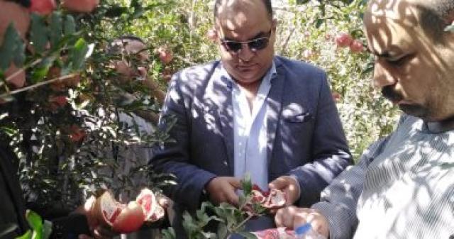 الدكتور أحمد العطار رئيس الحجر الزراعي
