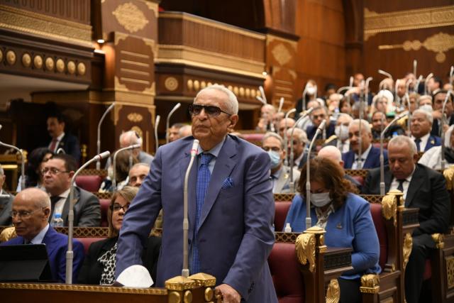 المستشار بهاء ابو شقة