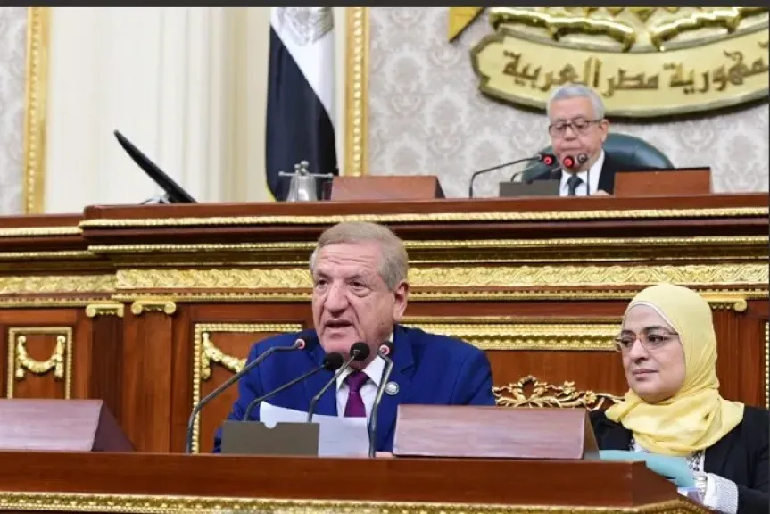 النائب فخرى الفقى