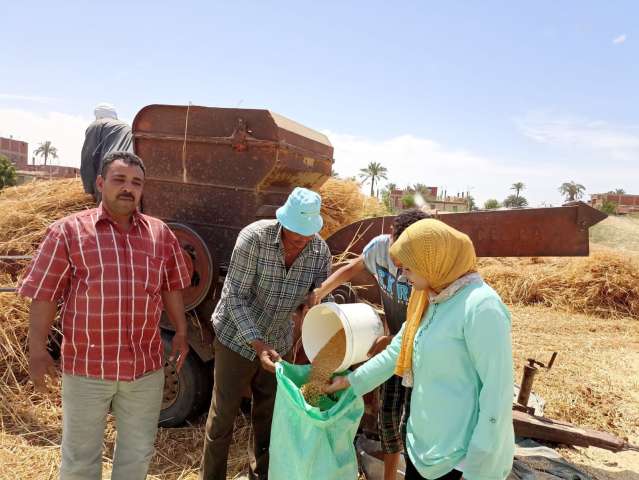 الزراعة تكثف جهودها لمتابعة حصاد القمح