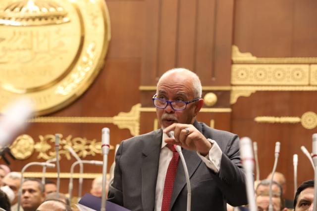 النائب حازم الجندي