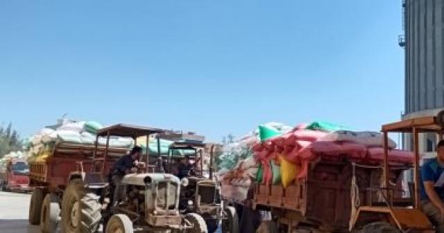   توريد القمح  