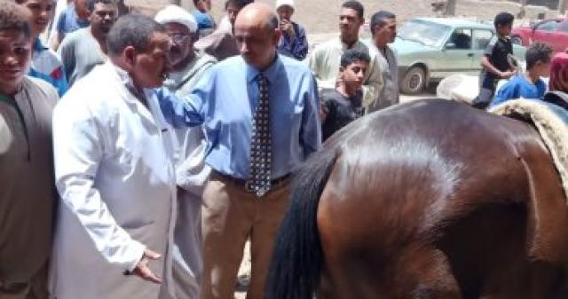   قافلة بيطرية 