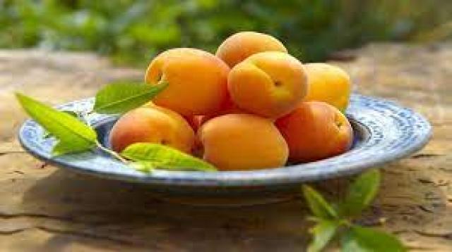 فوائد  المشمش