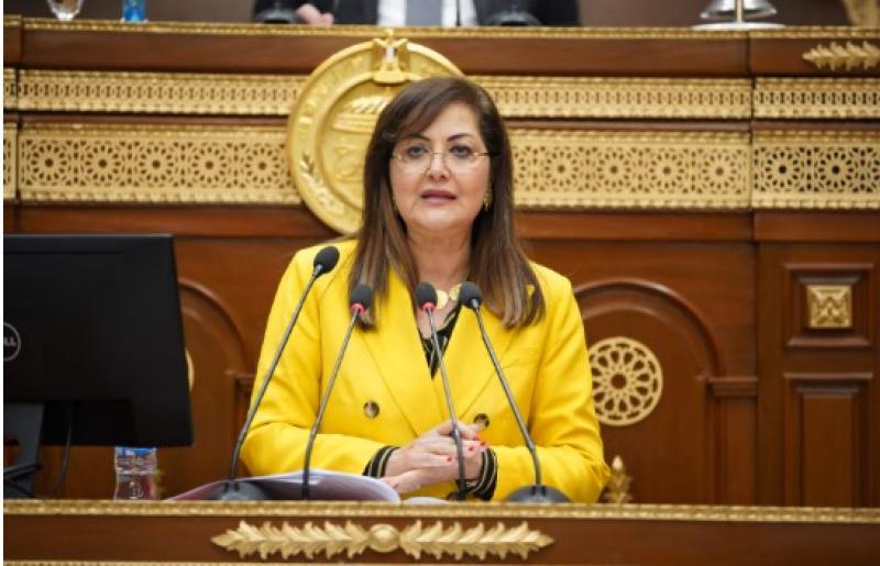  وزيرة التخطيط