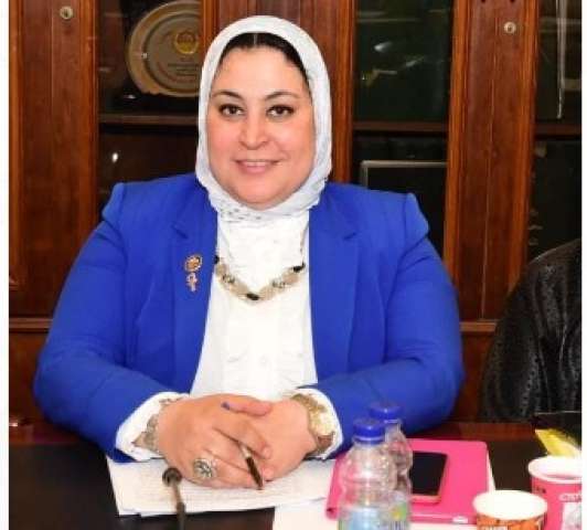 النائبة ولاء التمامى