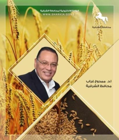 محافظ الشرقية